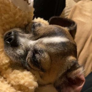 Meet your Posher, Joseline